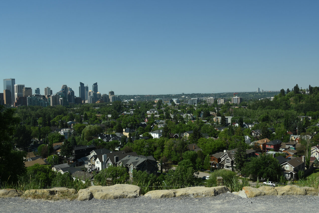 DSC_0007 - Copy.JPG