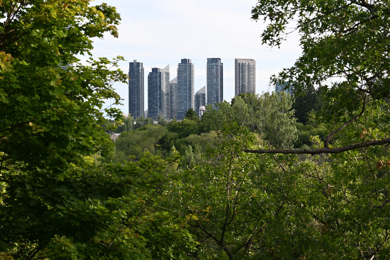 DSC_0018.JPG