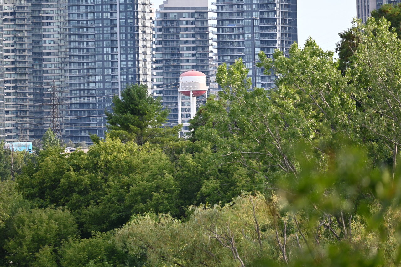 DSC_0019.JPG