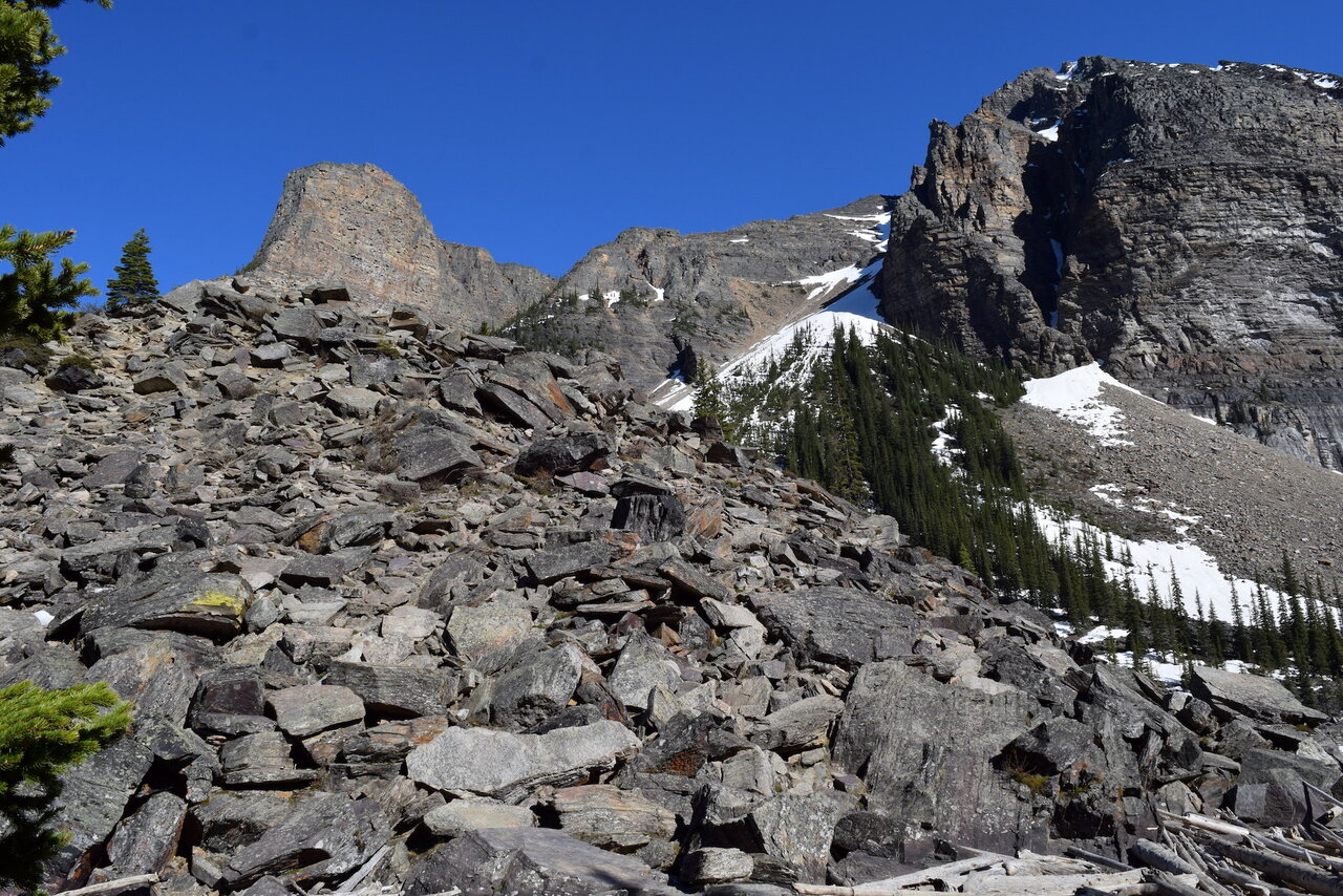 DSC_0026.JPG