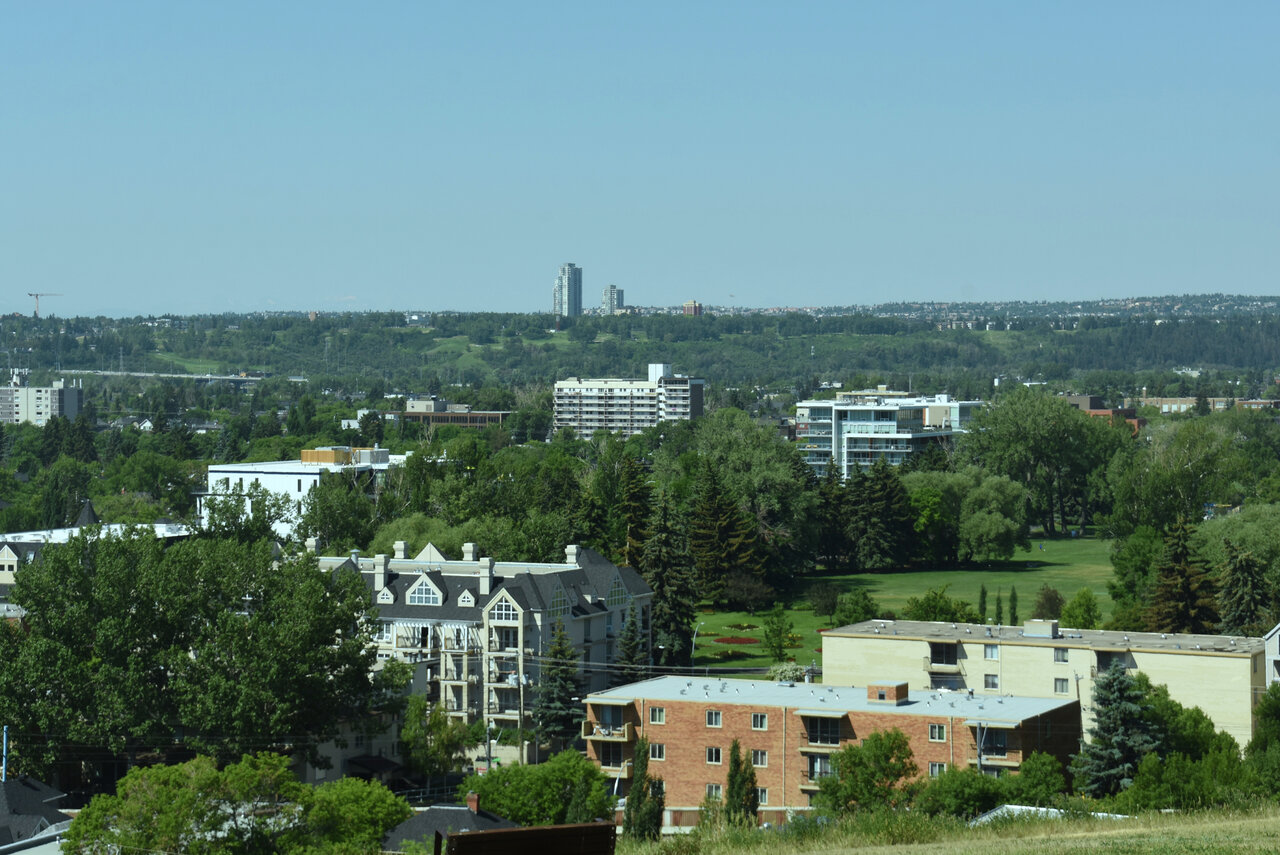 DSC_0033 - Copy.JPG