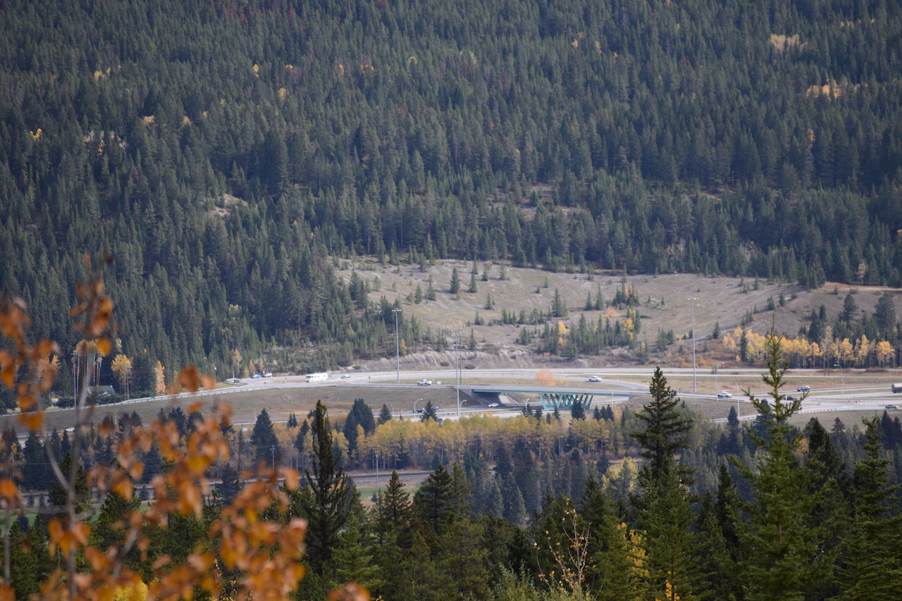 DSC_0034.JPG