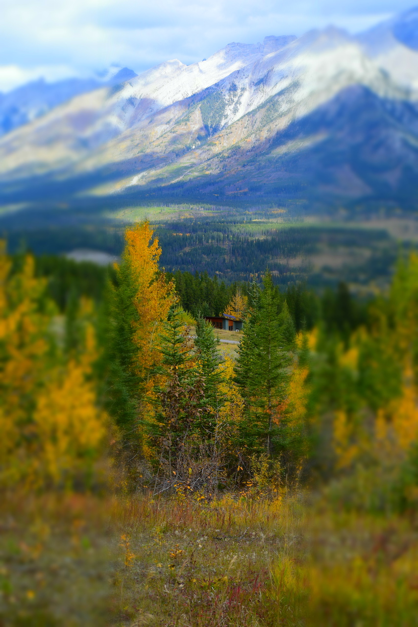 DSC_0040.JPG