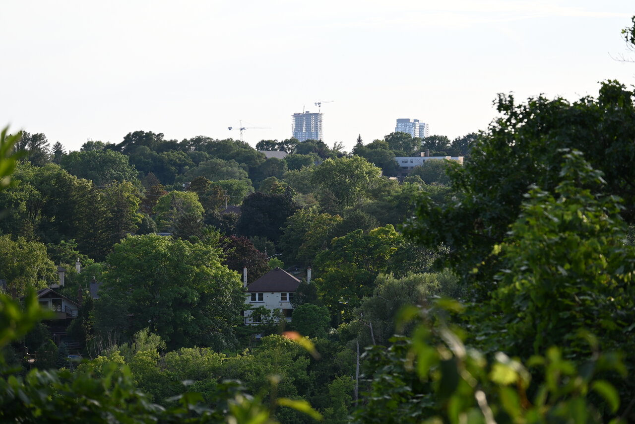DSC_0049.JPG