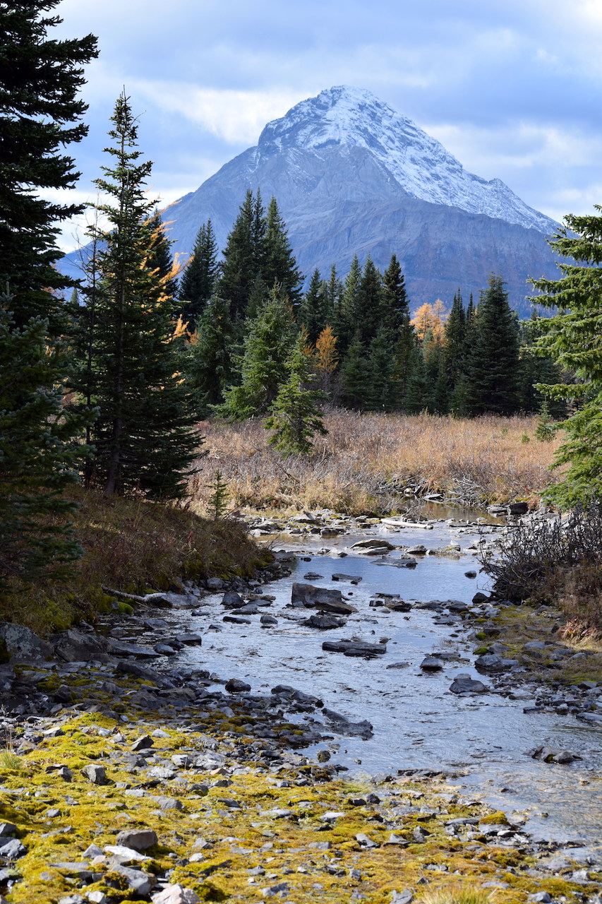 DSC_0086.JPG