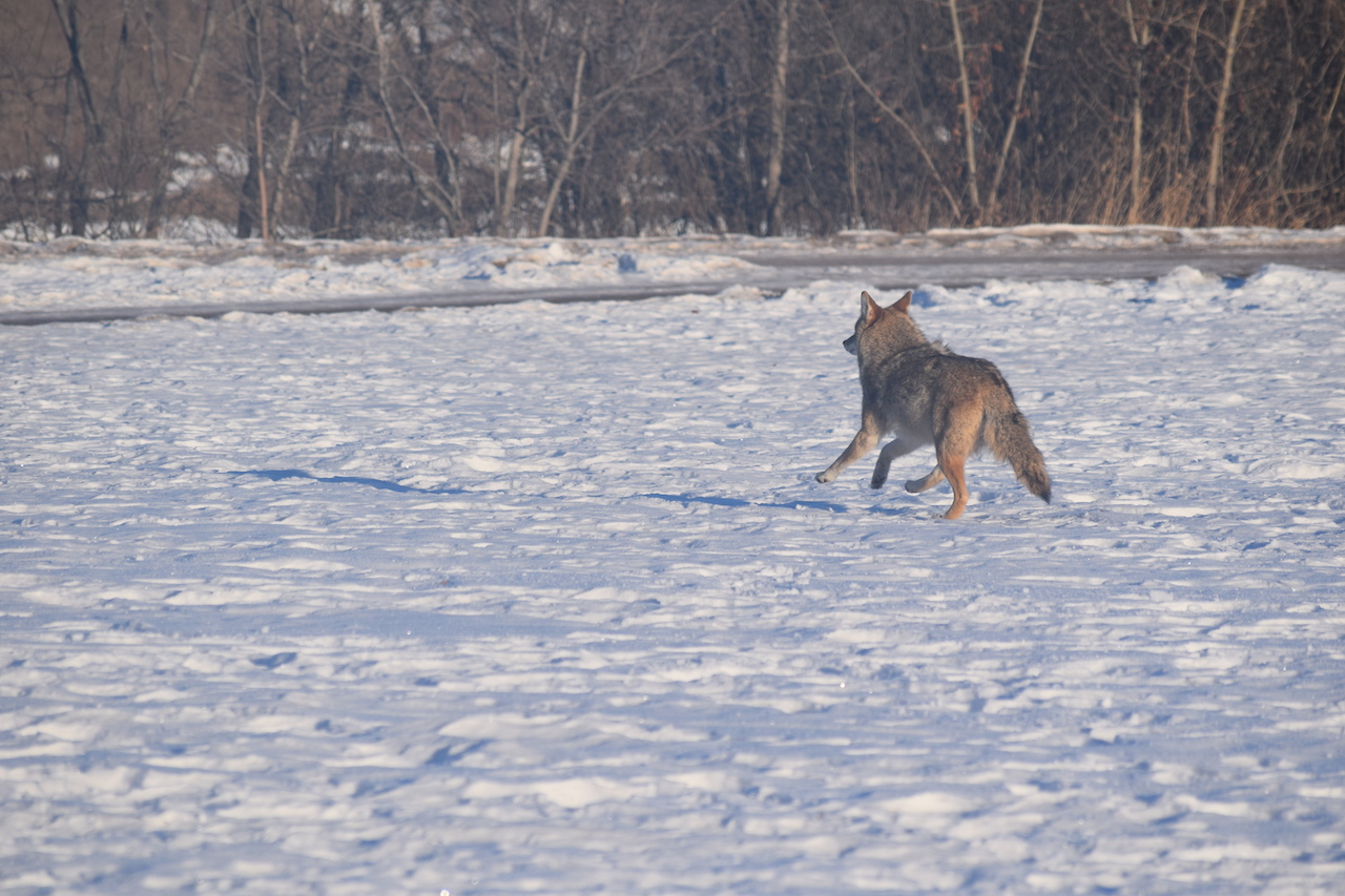 DSC_0105.JPG