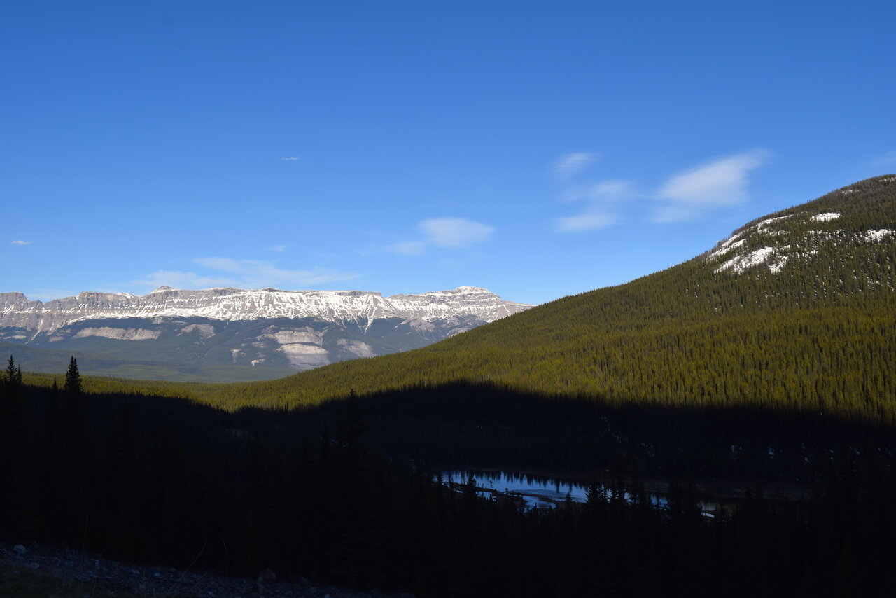 DSC_0107.JPG