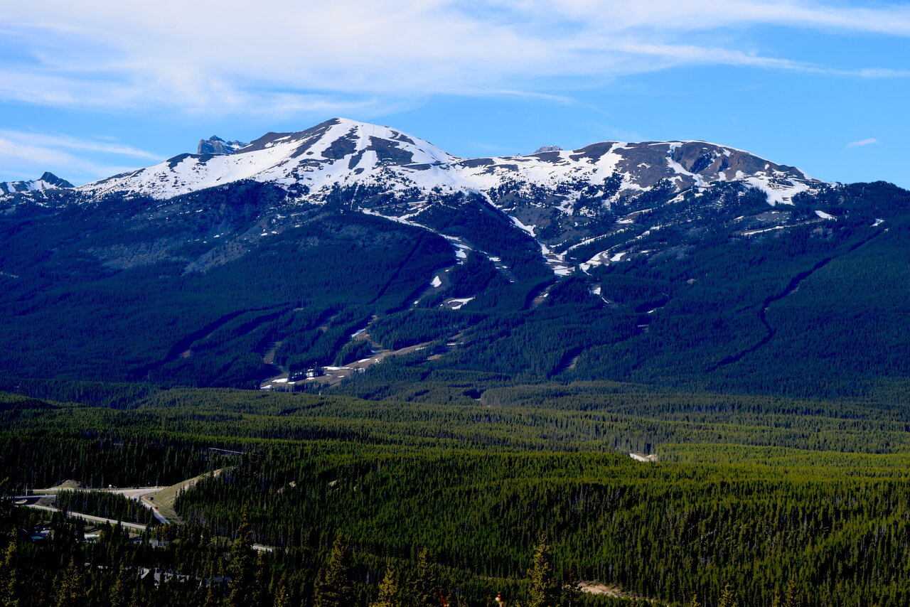 DSC_0112.JPG
