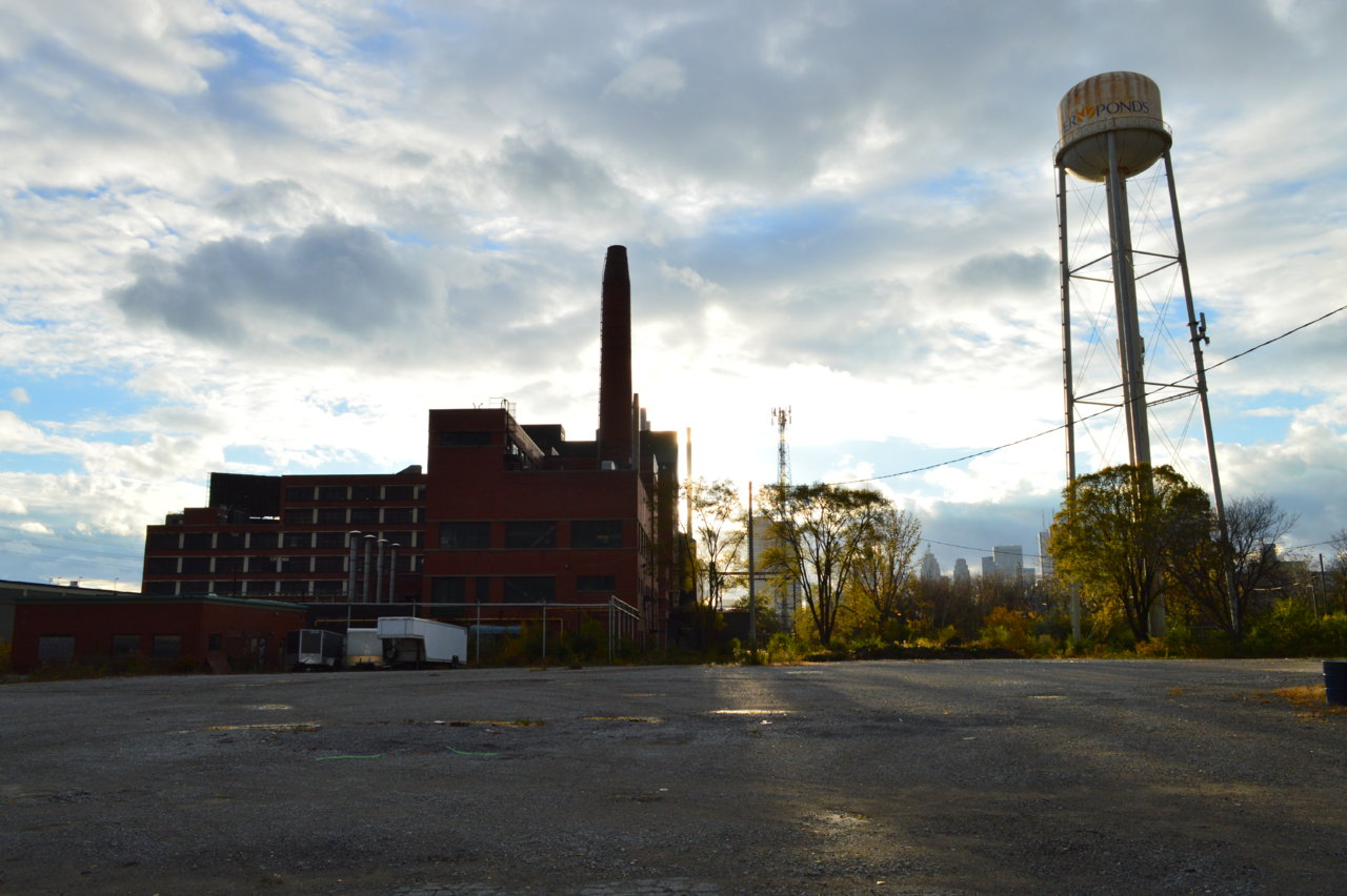 DSC_0116.JPG