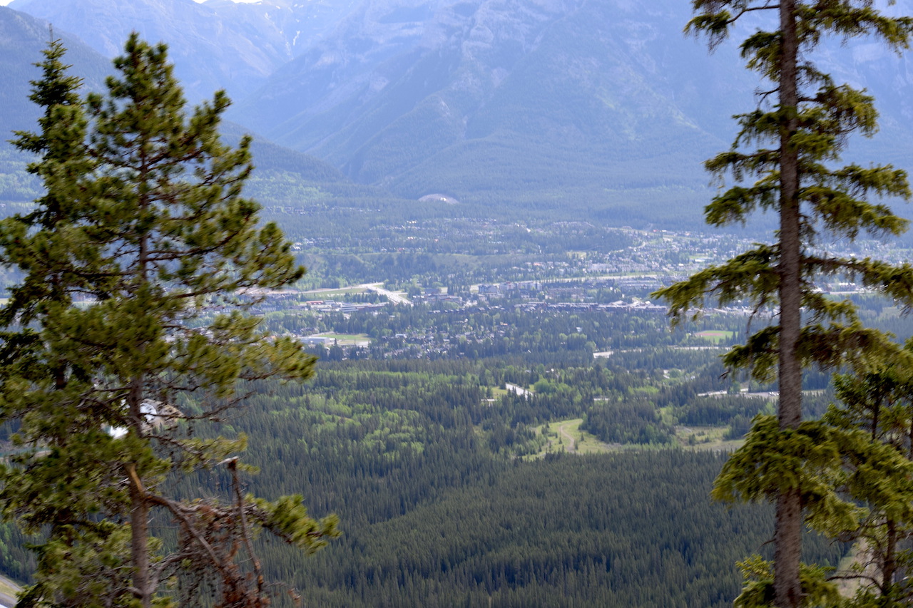 DSC_0118.JPG