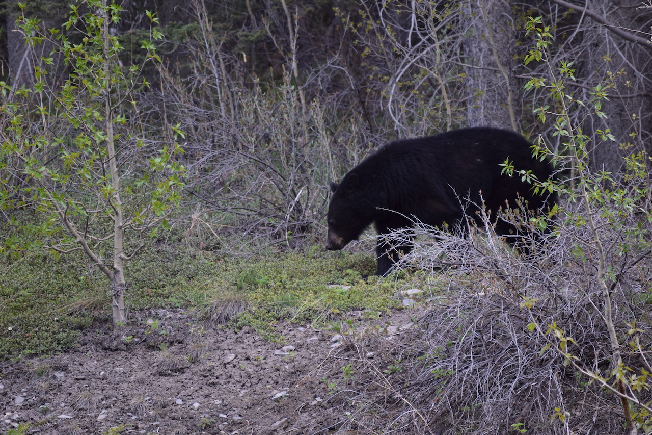 DSC_0136.JPG