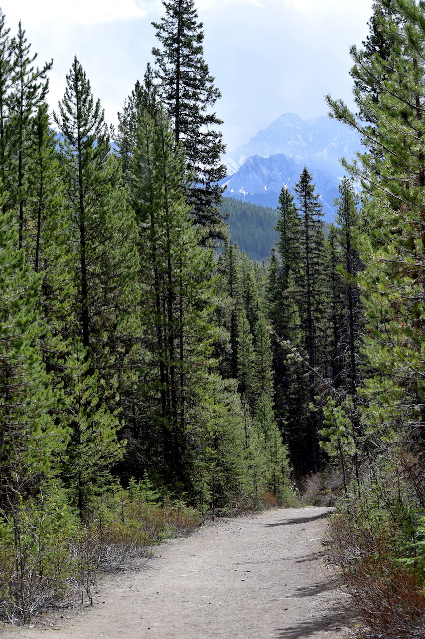 DSC_0148.JPG