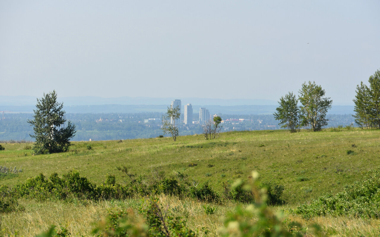 DSC_0163.JPG