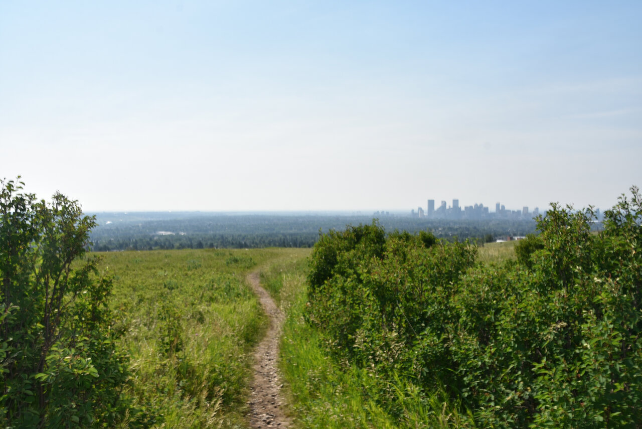 DSC_0165.JPG