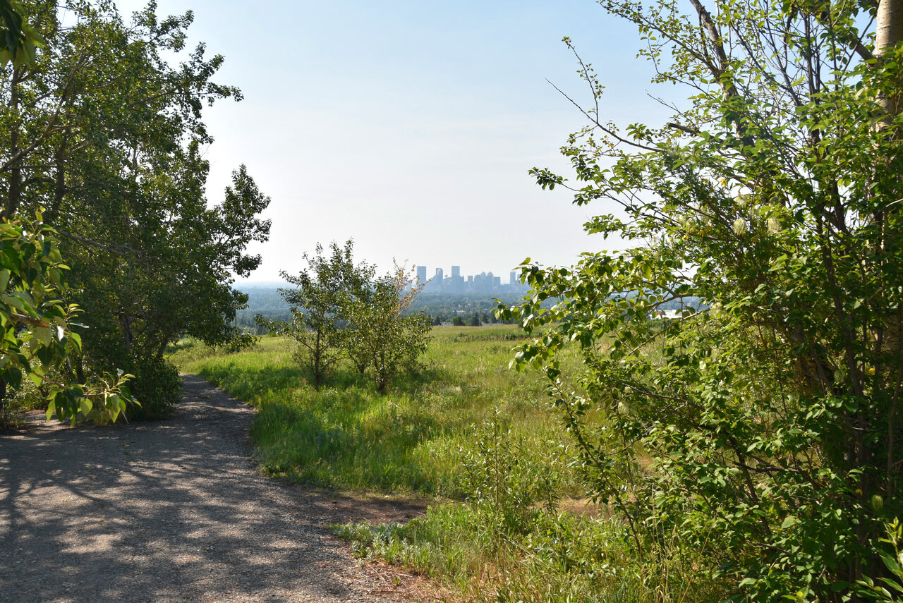 DSC_0174.JPG