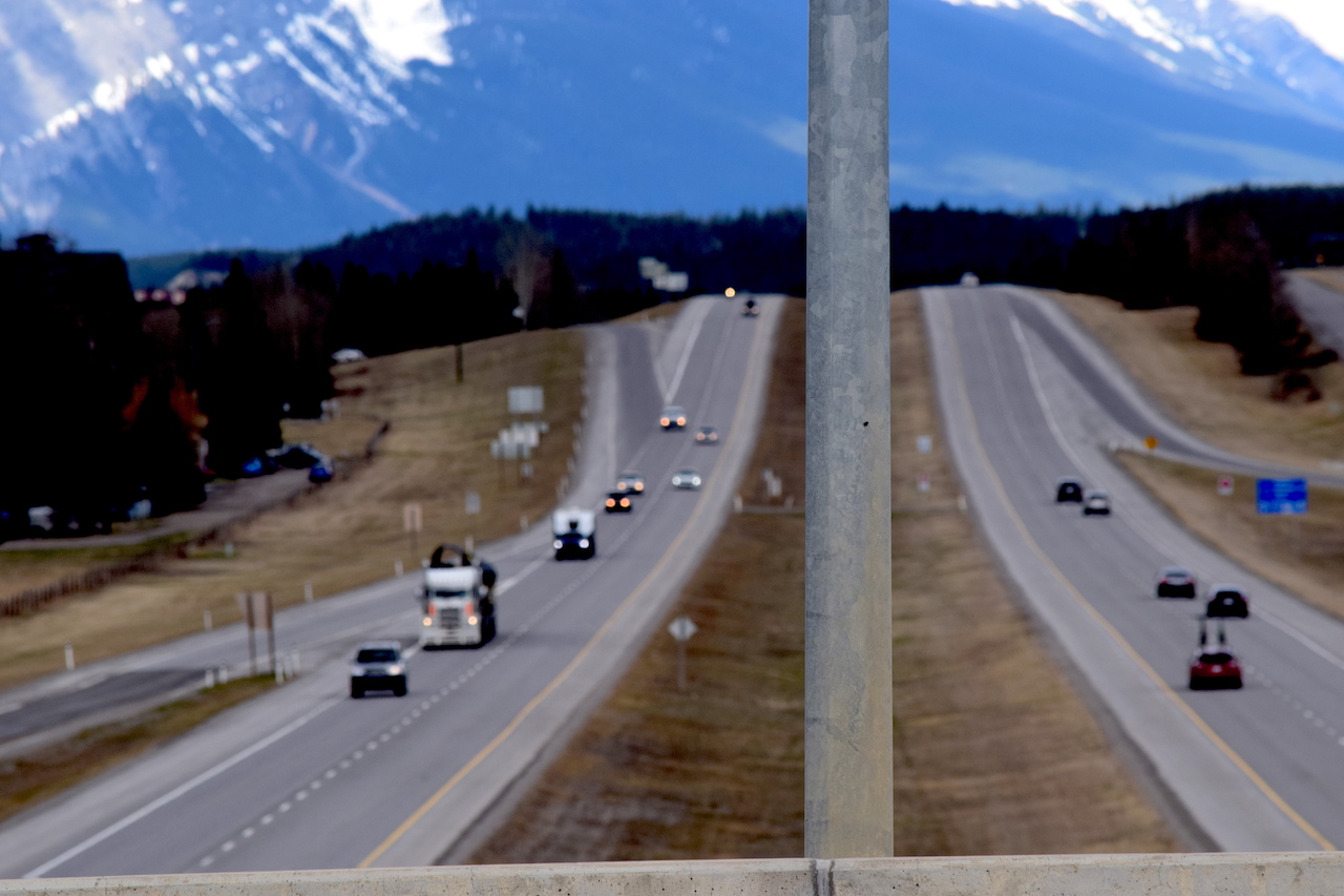 DSC_0202.JPG