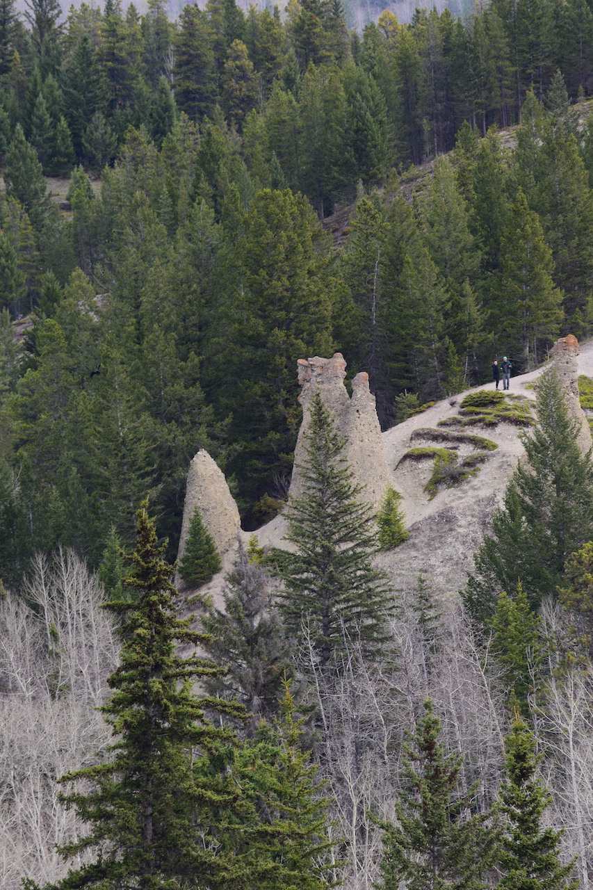 DSC_0203.JPG