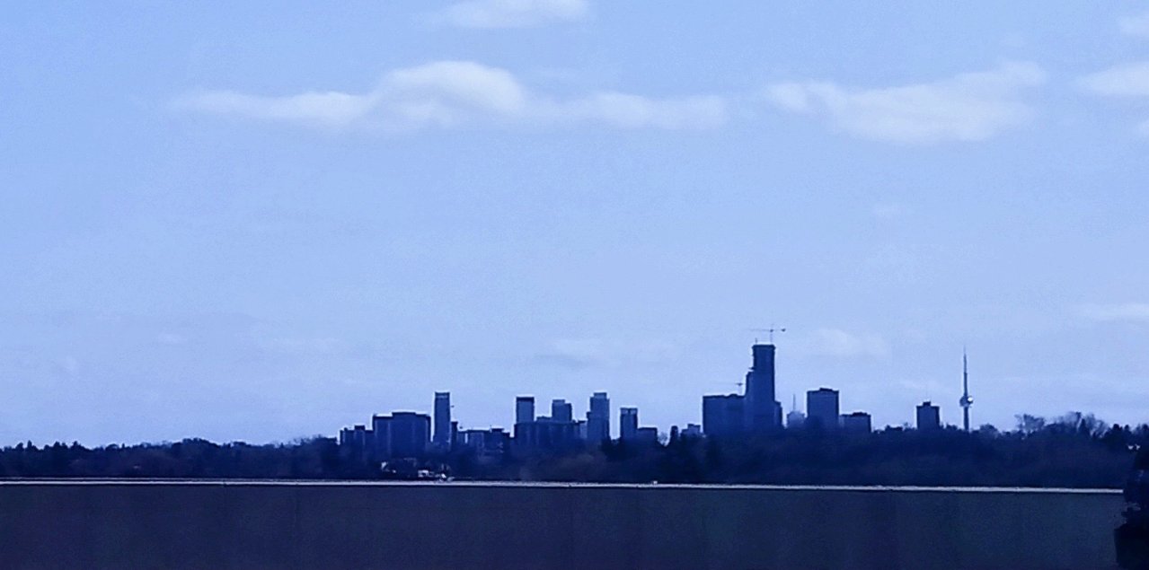 DSC_0206.jpg