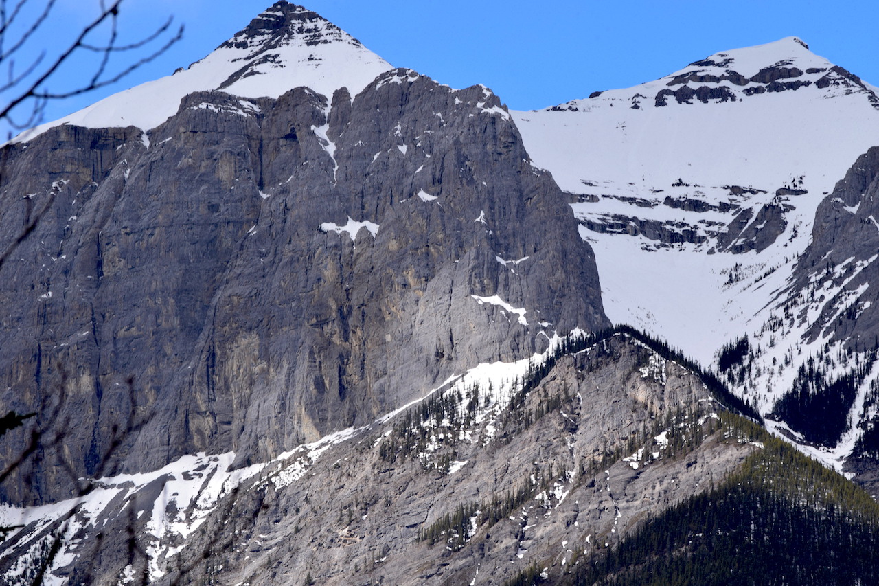 DSC_0218.JPG