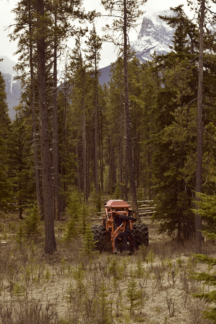 DSC_0228.JPG