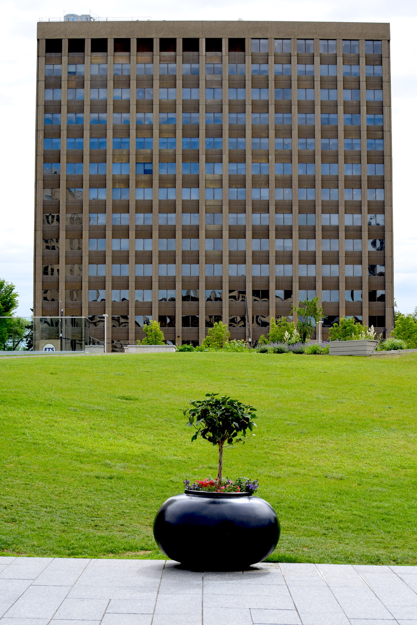 DSC_0270.JPG