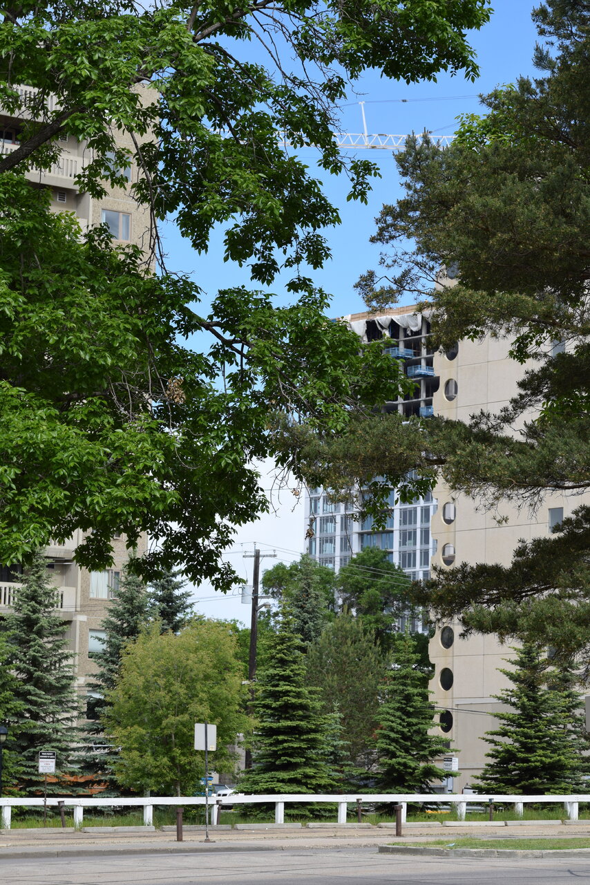DSC_0275.JPG