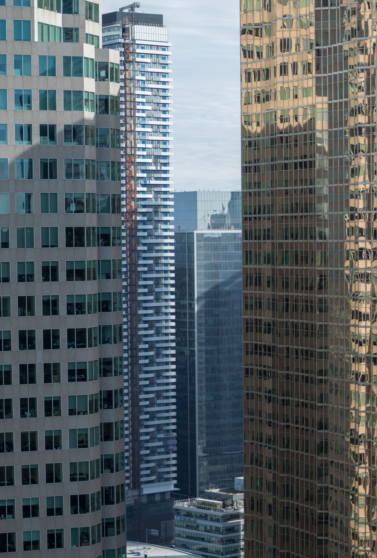 DSC_0316.jpg