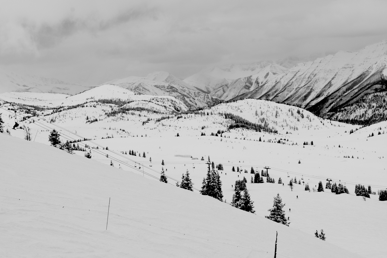 DSC_0317.JPG