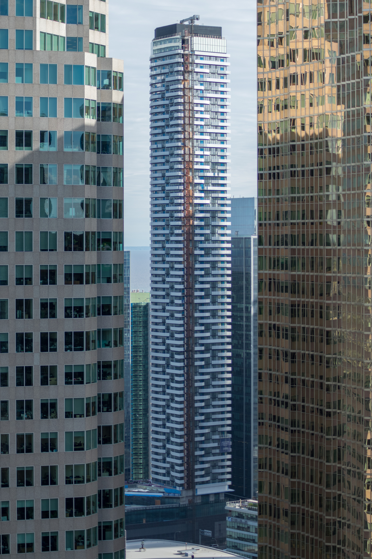 DSC_0318.jpg