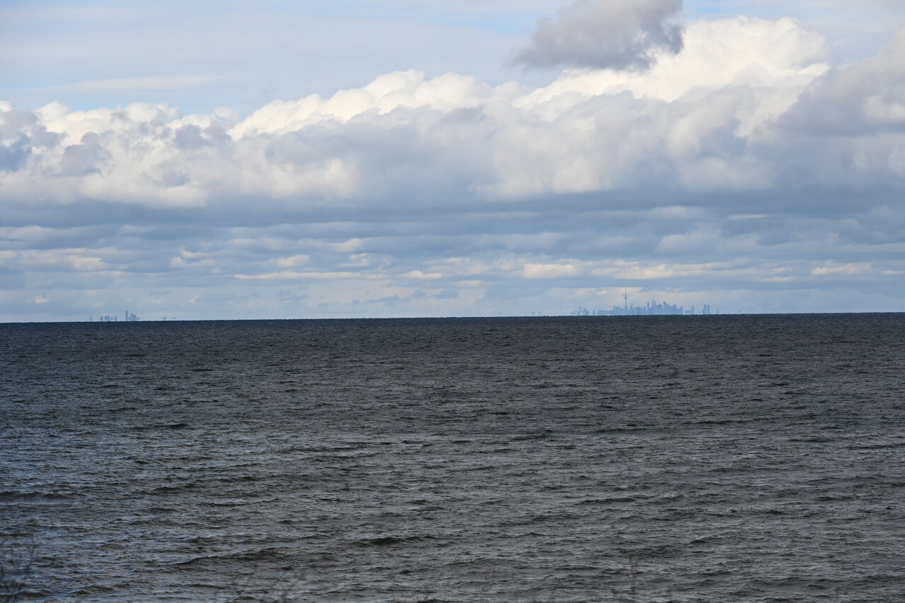 DSC_0331.JPG