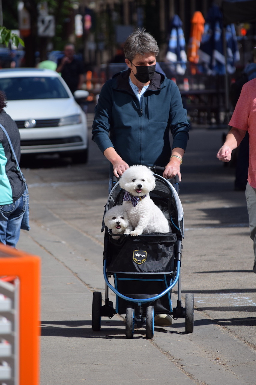 DSC_0332.JPG