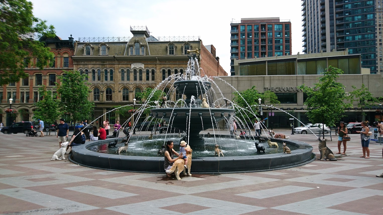 DSC_0431.JPG