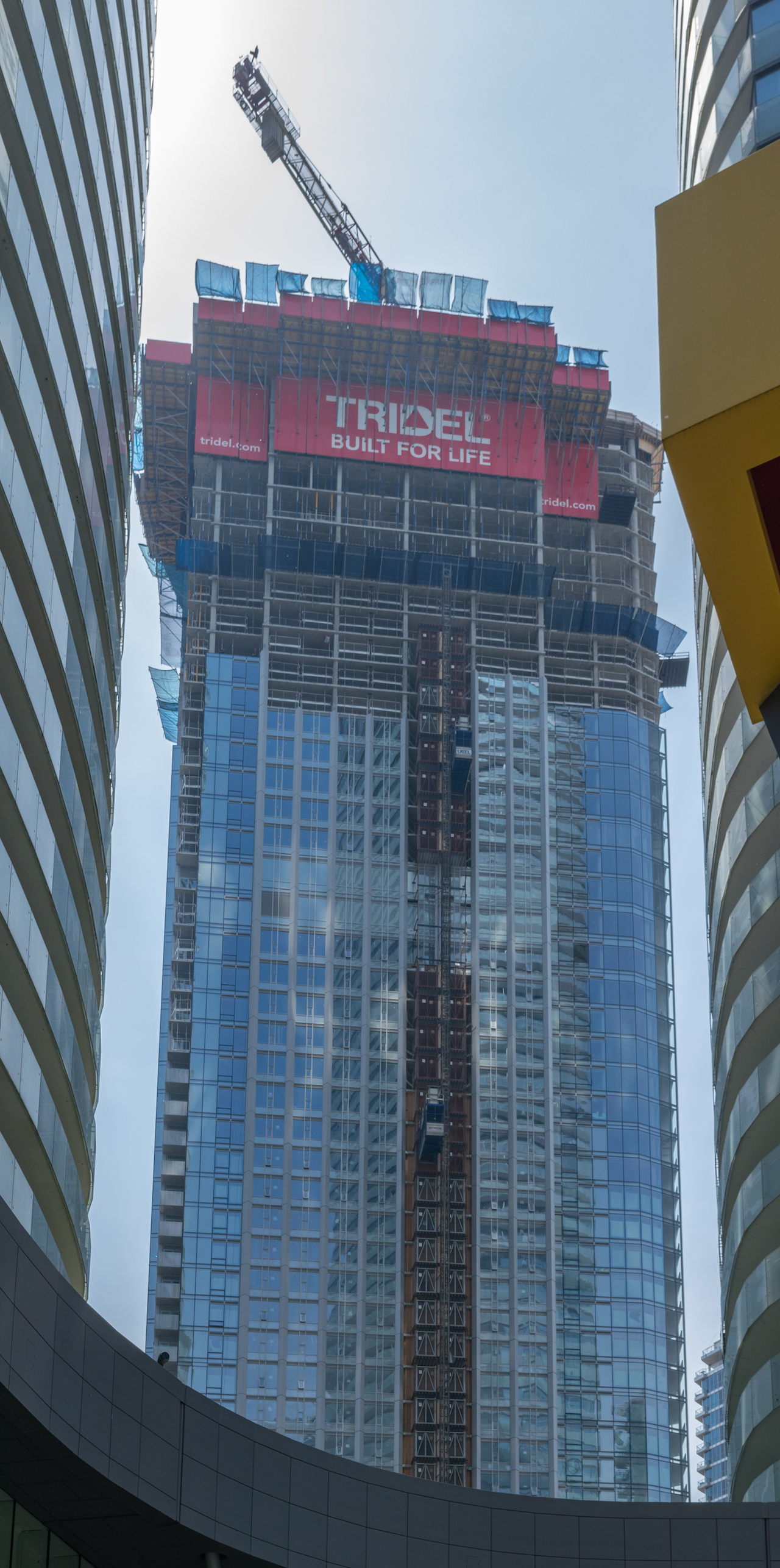 DSC_0459.jpg