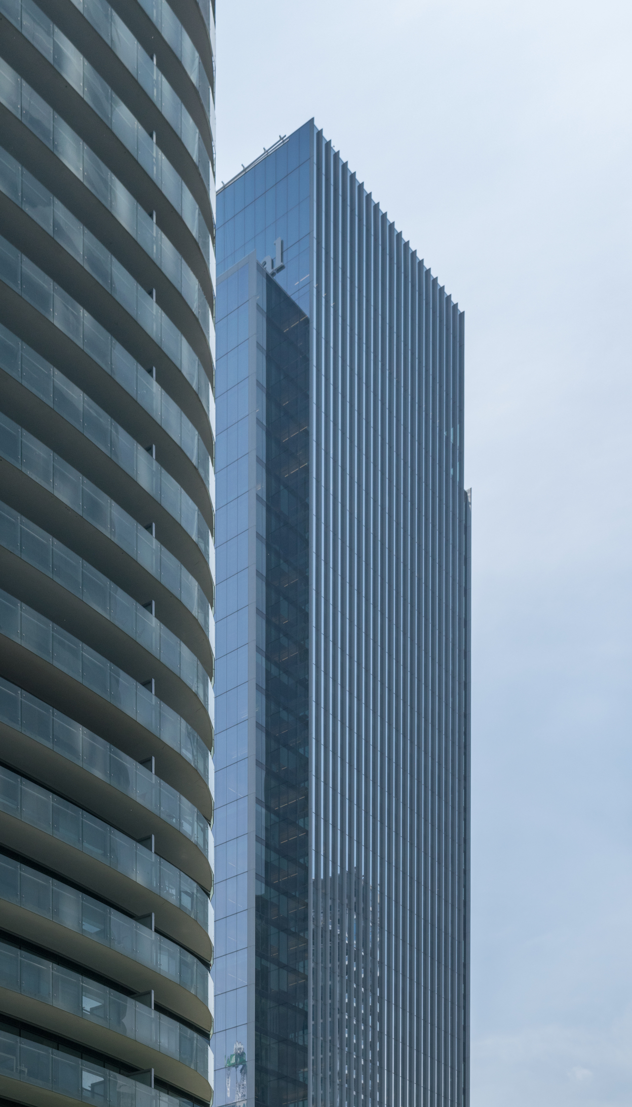 DSC_0461.jpg