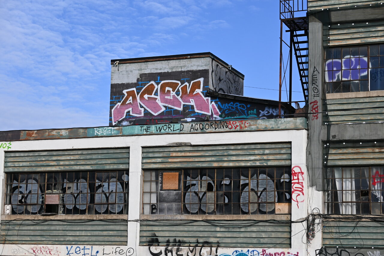 DSC_0467.JPG