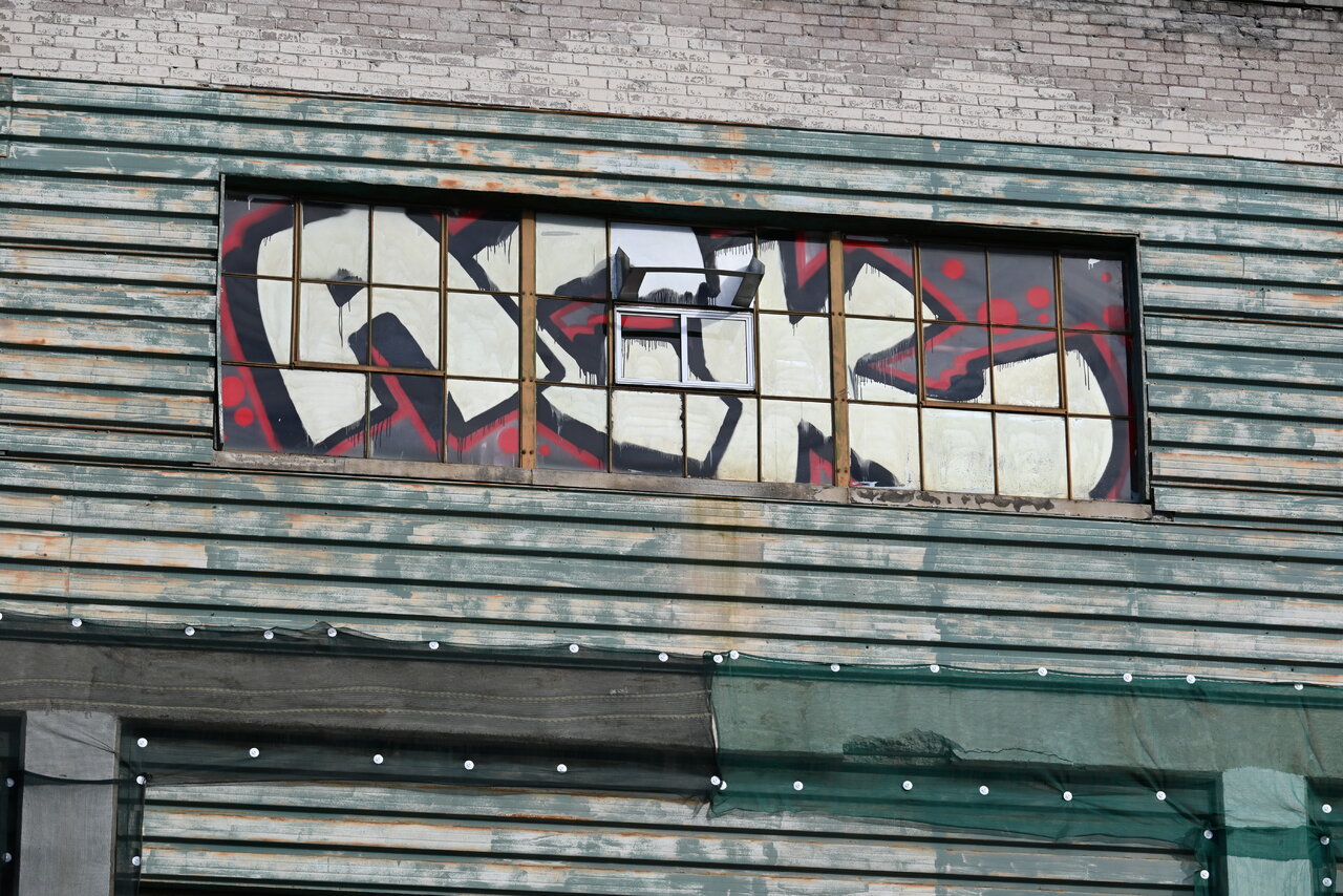 DSC_0473.JPG