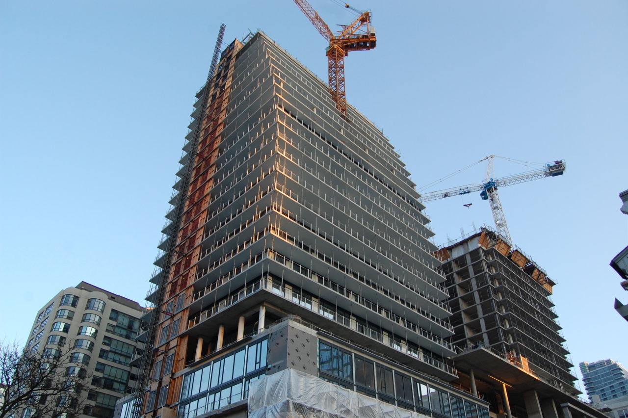 DSC_0502.JPG