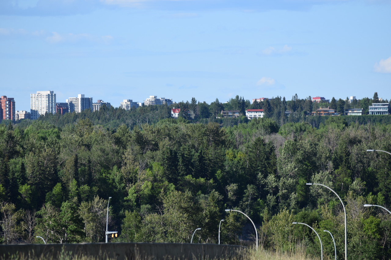 DSC_0549.JPG