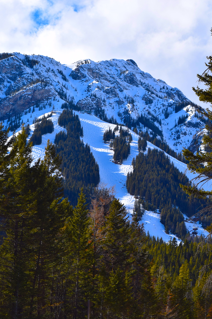 DSC_1027.JPG