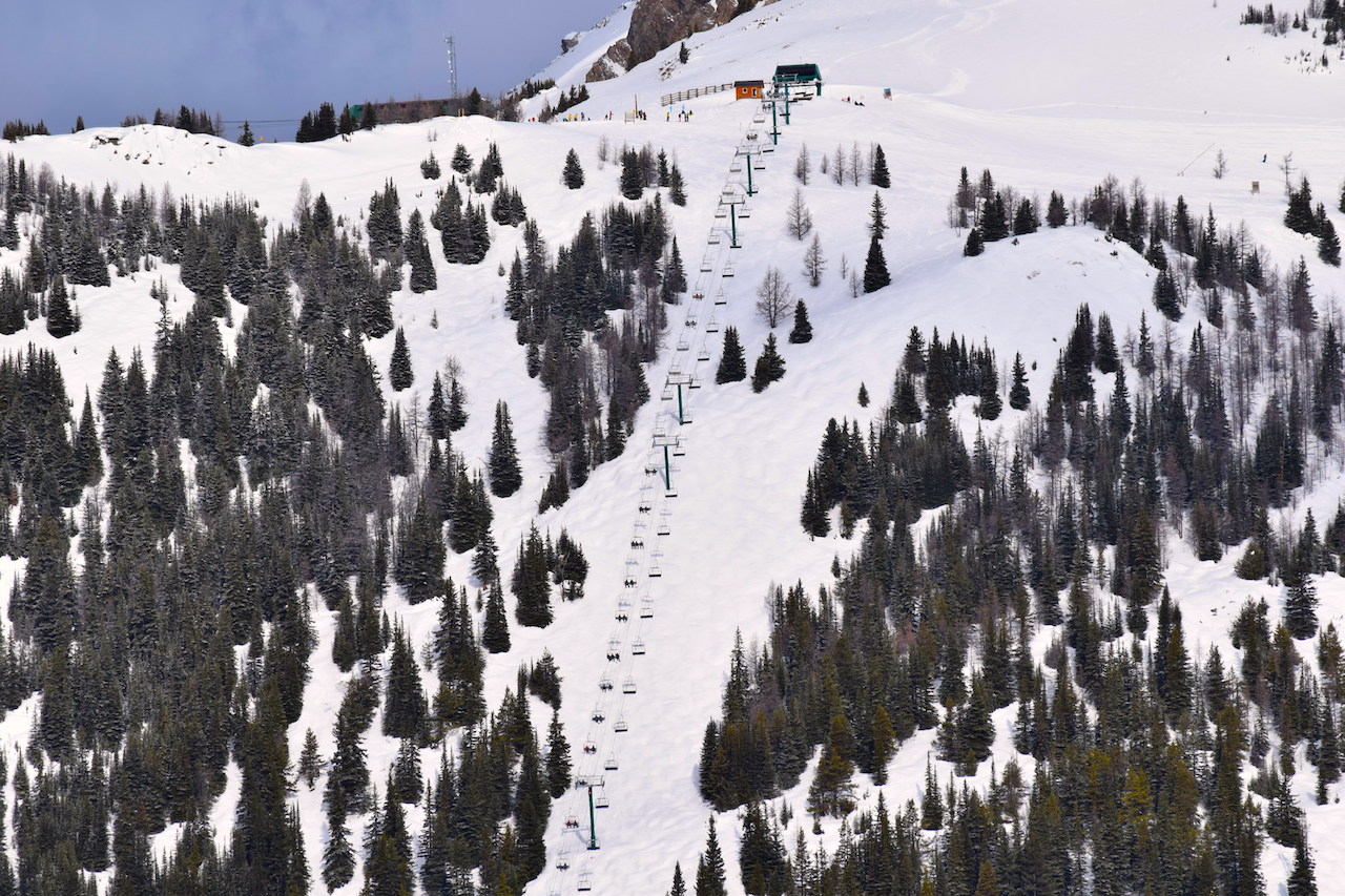 DSC_1145.JPG