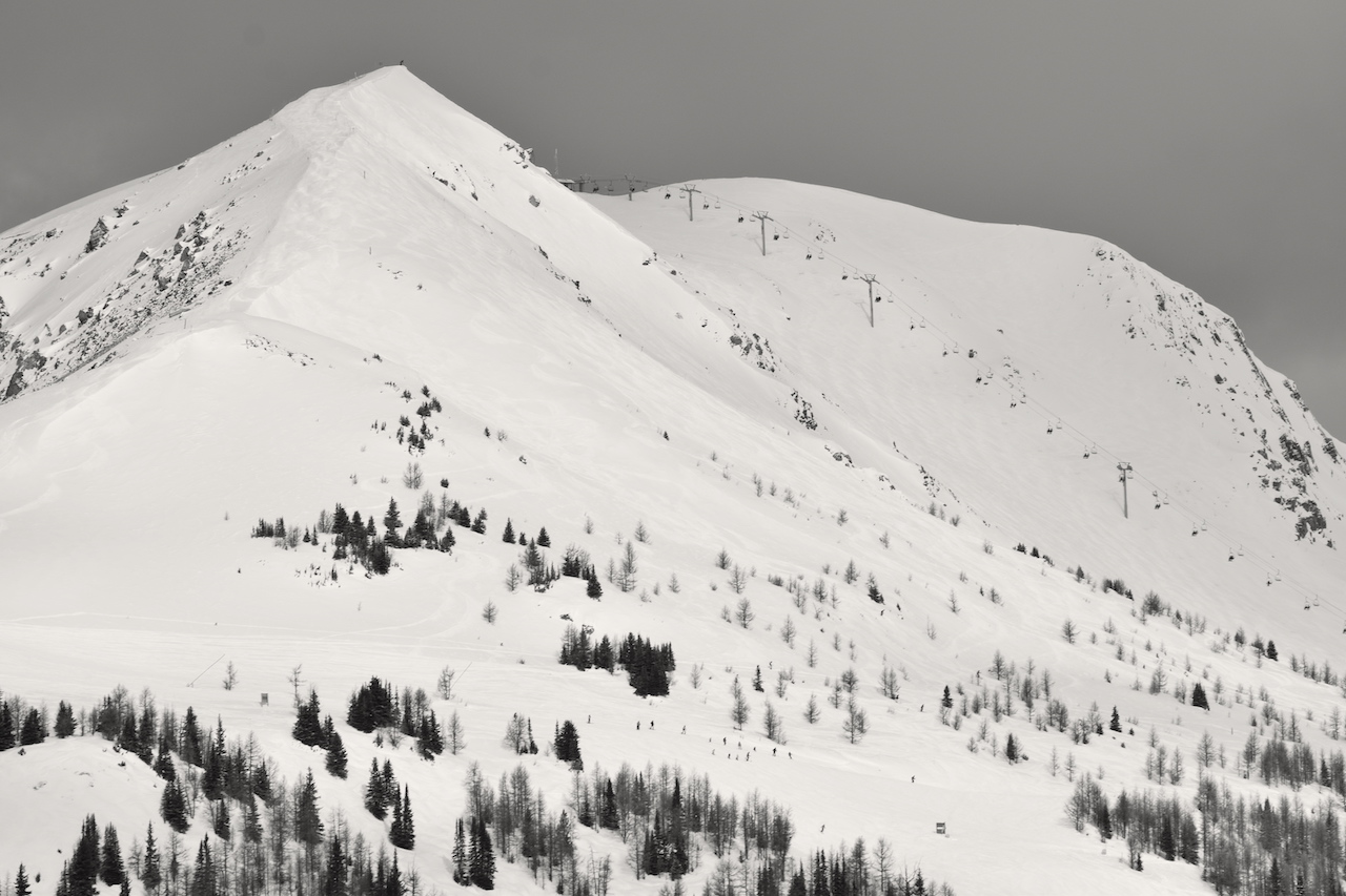 DSC_1146.JPG