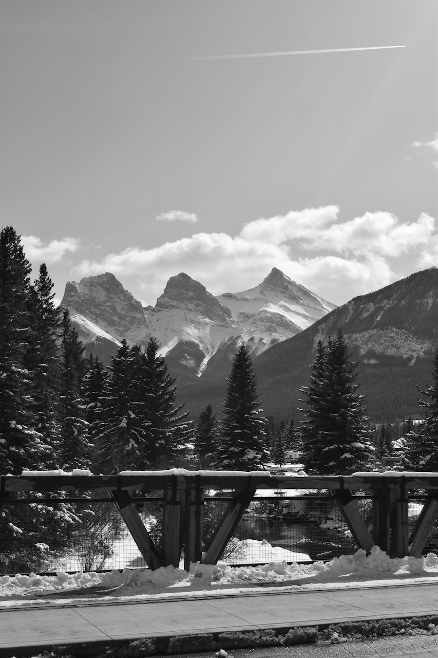 DSC_1284.JPG