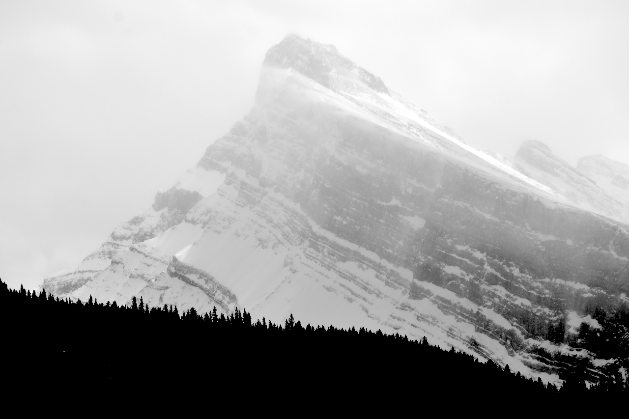 DSC_1306.JPG