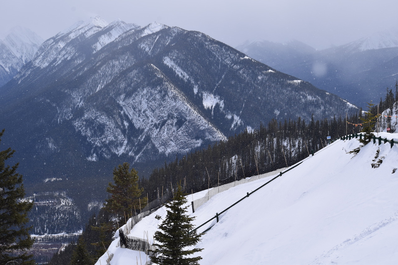 DSC_1318.JPG