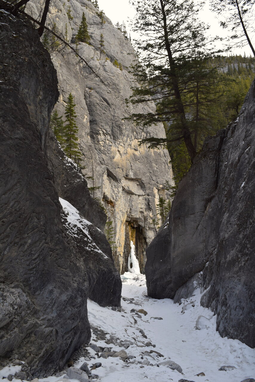 DSC_1342.JPG