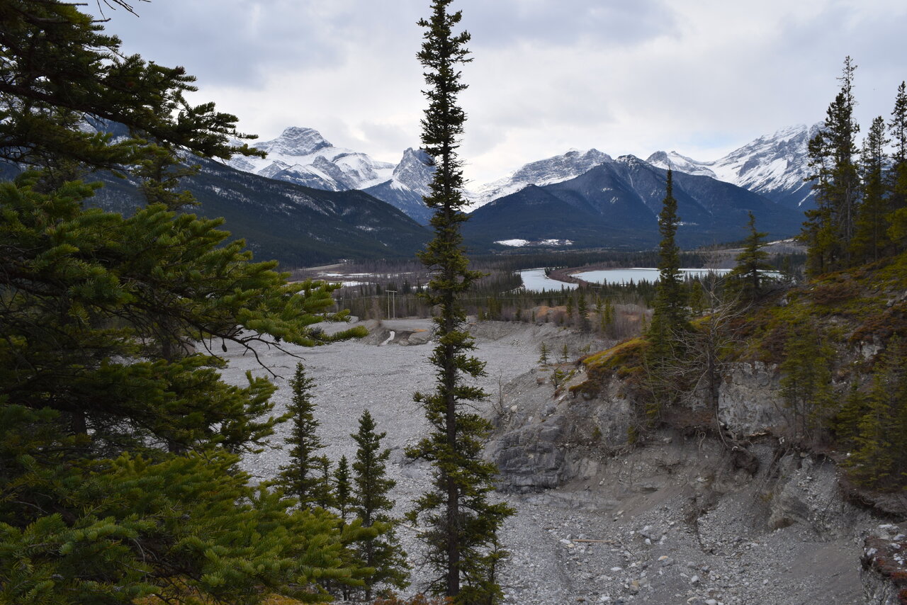 DSC_1370.JPG