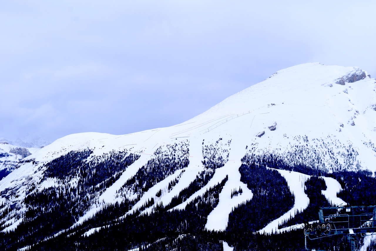 DSC_1419.JPG