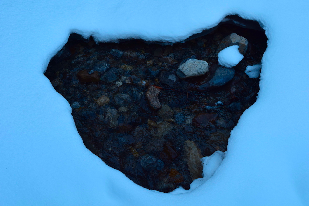 DSC_1439.JPG