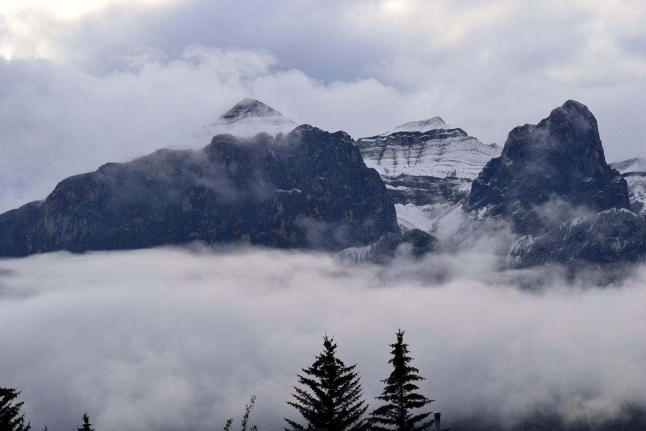 DSC_1449.JPG