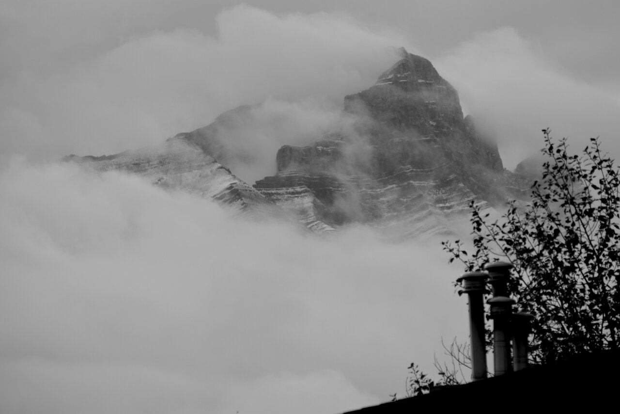 DSC_1451.JPG